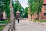 thumbnail: Auschwitz. PA Photo/Polish Travel Organisation.