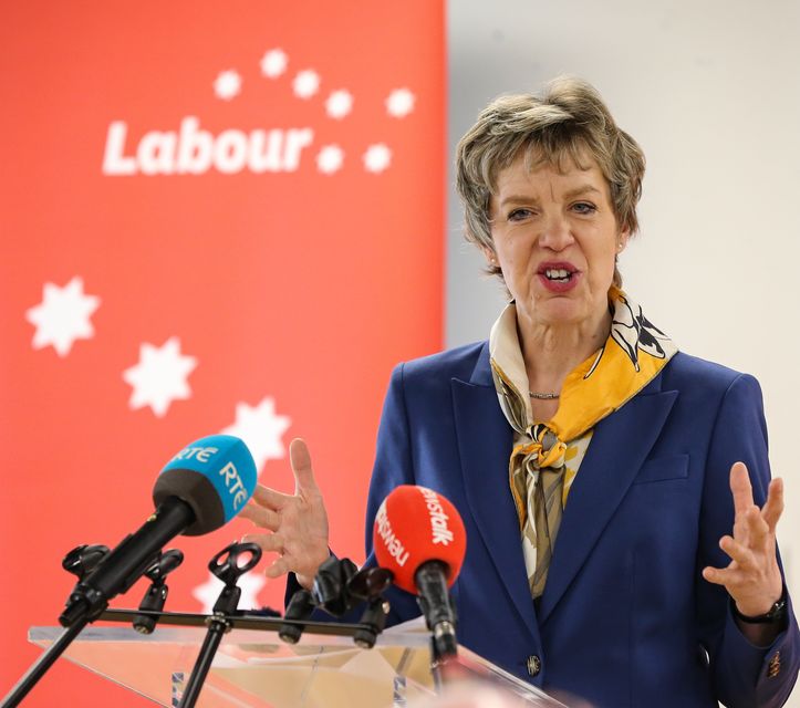 Ivana Bacik Confirmed As New Irish Labour Party Leader | Irish Independent