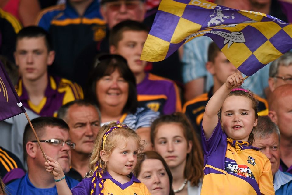 Enthusiastic Wexford fans have given their team great support this summer