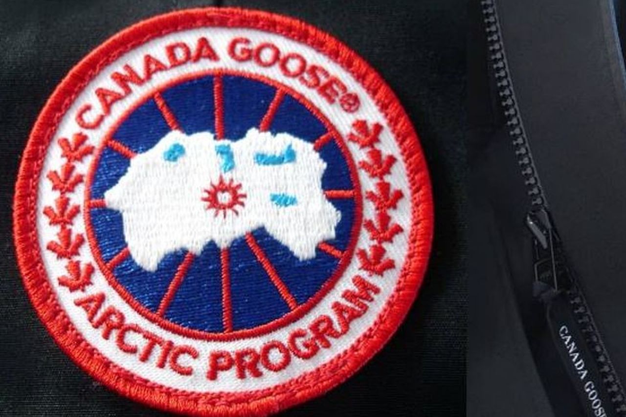 Canada Goose allegedly killed by man with golf club