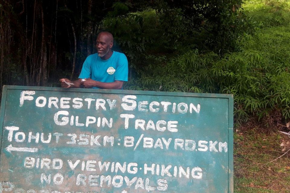 Eco guide William Trim is David Attenborough’s go-to man on rainforests
