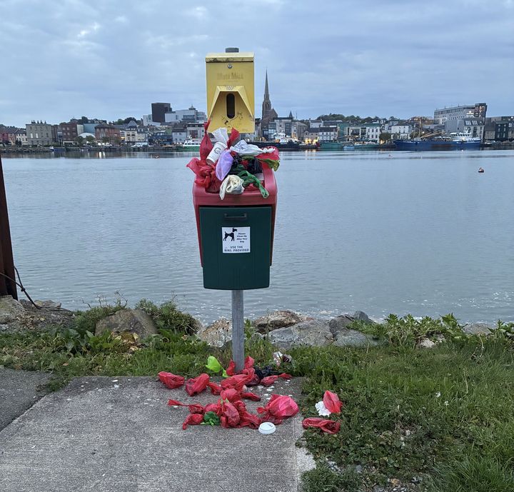 Wexford dog owners frustrated as overflowing bin on popular walking route ‘clearly not meeting demand’