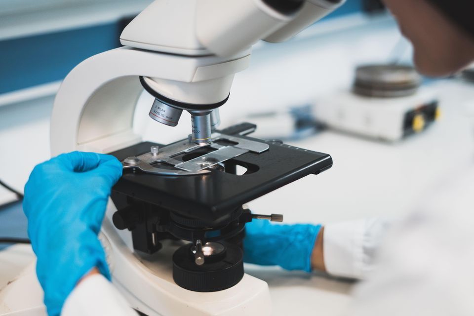 Close to 300 jobs will be lost in Limerick as health tech company Carelon announces closure