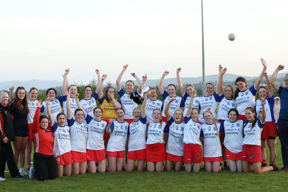 The Aughrim camogie team celebrate after their victory over Glenealy in the Intermediate league final in Ballinakill.