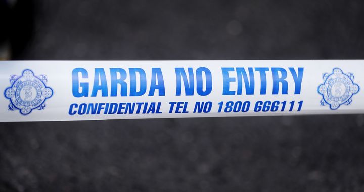 Woman (80s) dies after being hit by bus in south Dublin