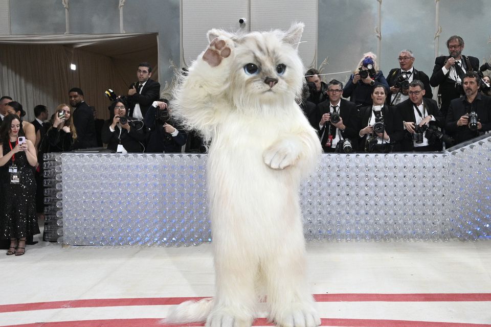 Karl Lagerfeld’s cat honoured at Met Gala with feline-inspired outfits (Evan Agostini/AP)