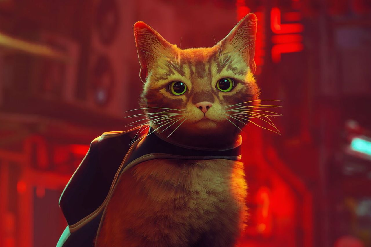 Pressing paws: Stray, the video game that's a hit with cats (and their  humans), Games