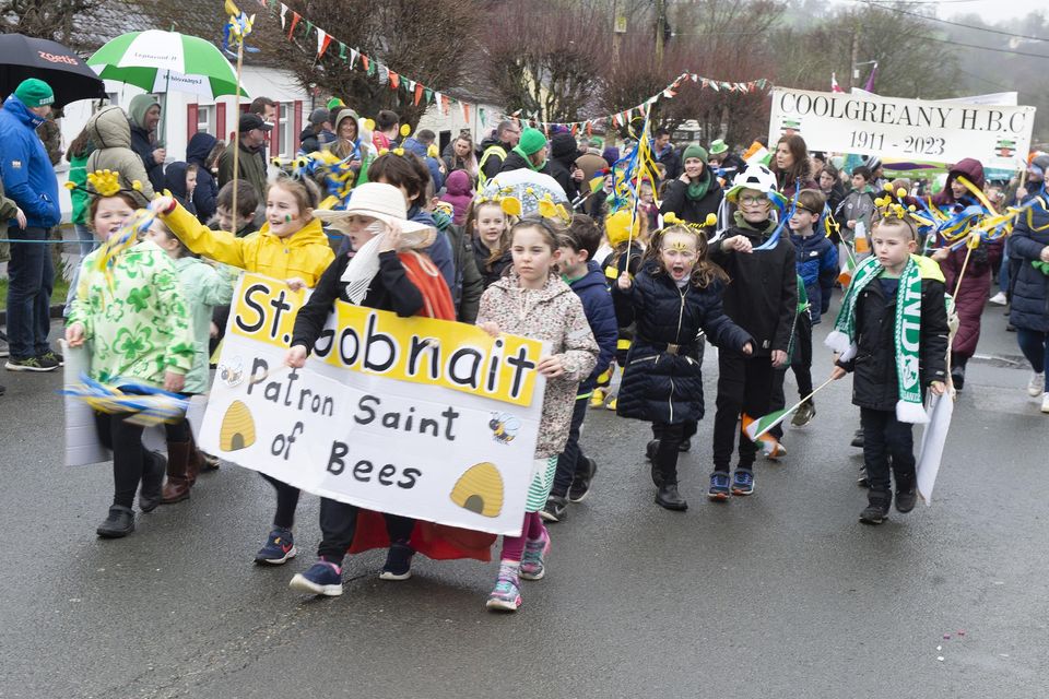 St Gobnait and Coolgreany HBC participating in the St Patrick's Day parade in Coolgreany. Pic: Jim Campbell