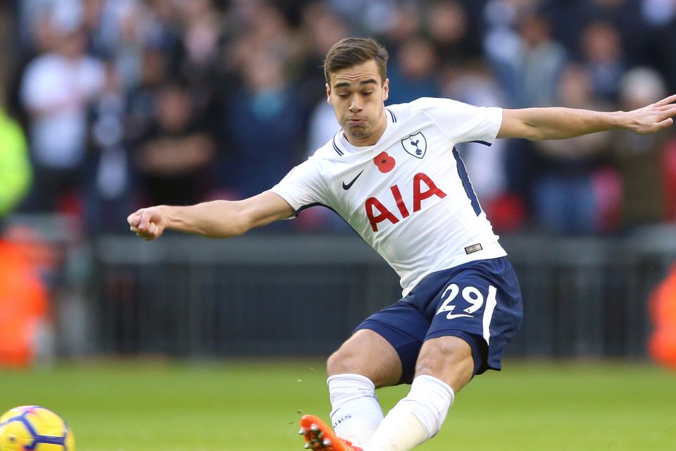 Harry Winks was replaced at half-time after suffering an ankle injury