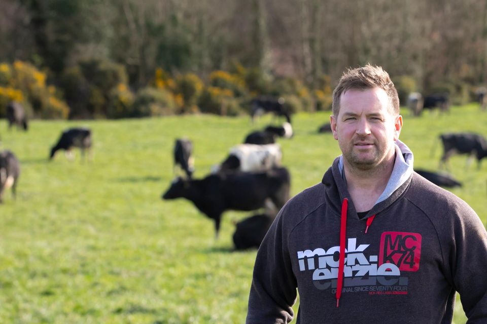 Focus on breeding: Shay Ryan on his dairy farm Rochestown, Co Wexford. Photo: Patrick Browne