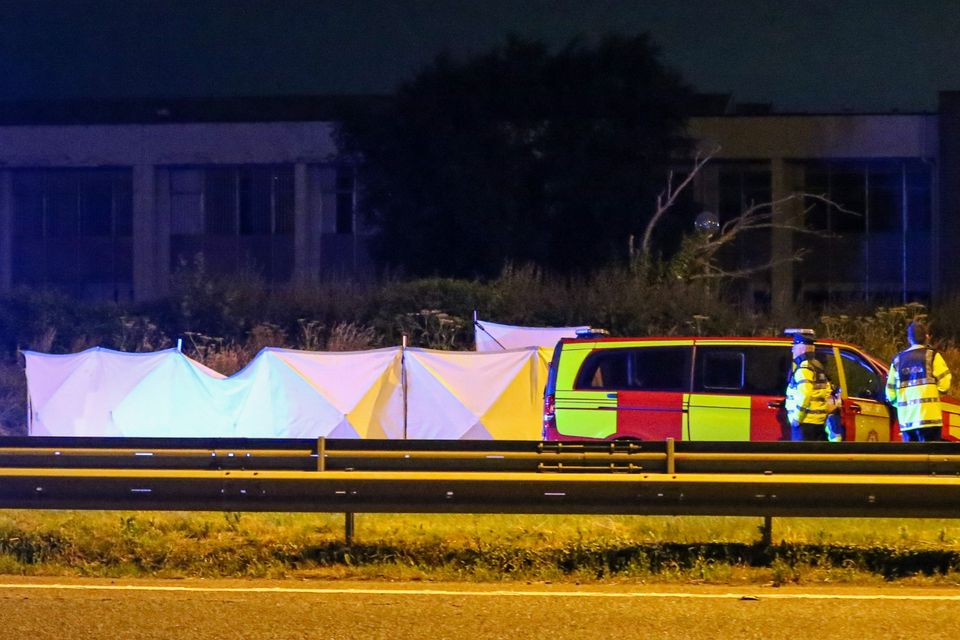 Emergency services at the scene of a fatal road crash
              involving a truck and a car overnight which occurred on
              the N7 at Junction 3, just before Rathcoole. Photo: Damien
              Storan.