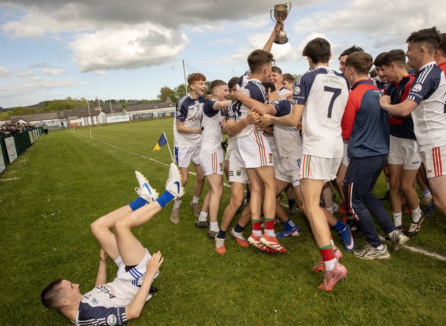 Wicklow school Coláiste Chill Mhantáin too strong for spirited St Kevins