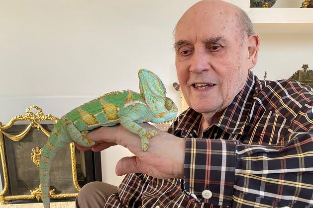 Desmond Morris obituary: TV presenter and ‘Naked Ape’ author remembered for ‘lifetime of curiosity and creativity’