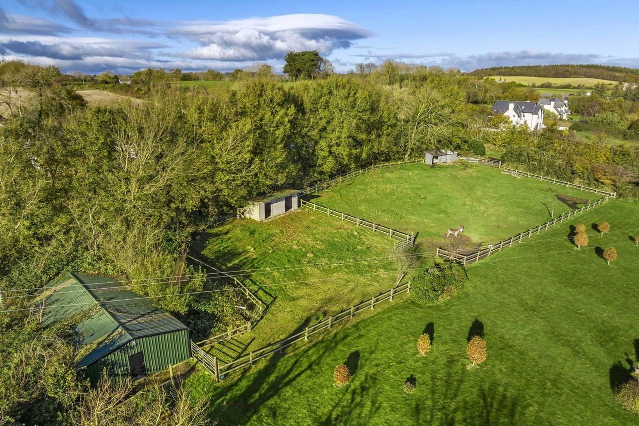 See inside the Wexford house with outdoor swimming pool and paddocks on