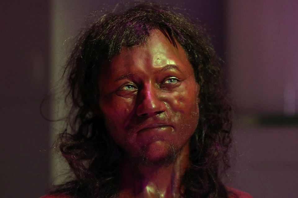 Cheddar Man's facial reconstruction