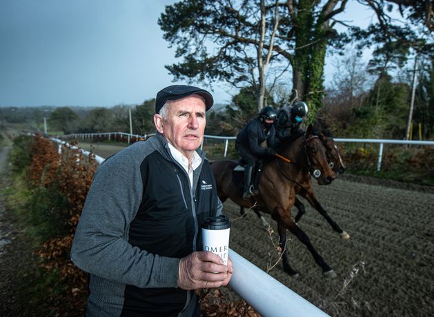 Billionaire Luke Comer takes control of 340 acres of champion trainer Dermot Weld's prime Curragh land