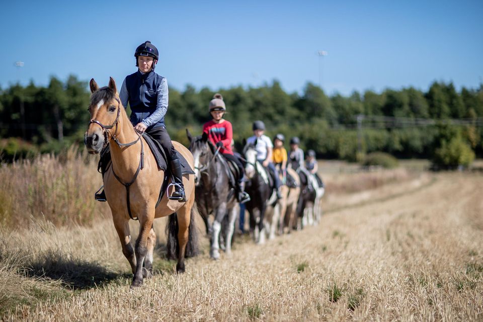 Champion jockey Colin Keane teaches children at Festina Lente