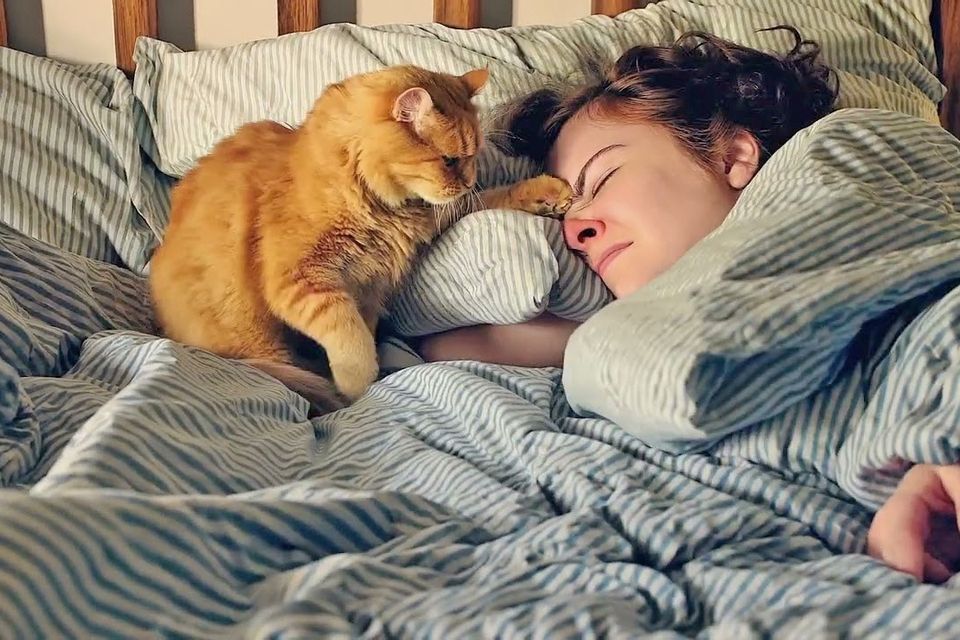 Shockingly real: The AI cat video generated by Sora