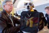 thumbnail: F. Andy Messing Jr. checks in at an airline counter with his pet "Dick the Dog" for a flight to St. Petersburg, Florida. File Photo: Manny Ceneta/Getty Images