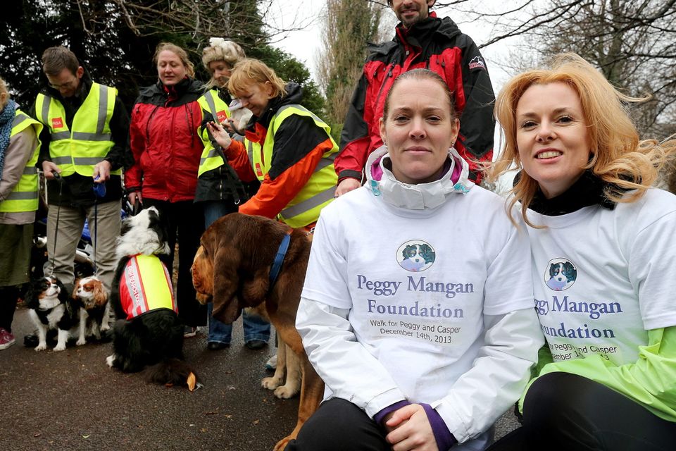 Fundraisers and ‘best friends’ follow in the footsteps of Peggy | Irish ...