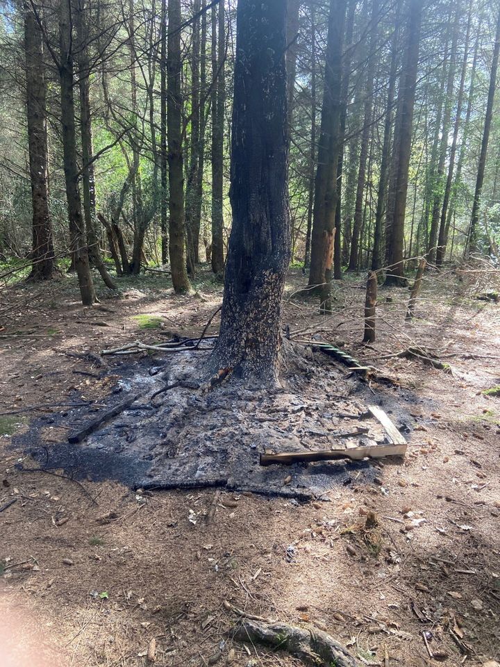 Recent fires and anti-social activity at popular Wexford walking trail cause concern
