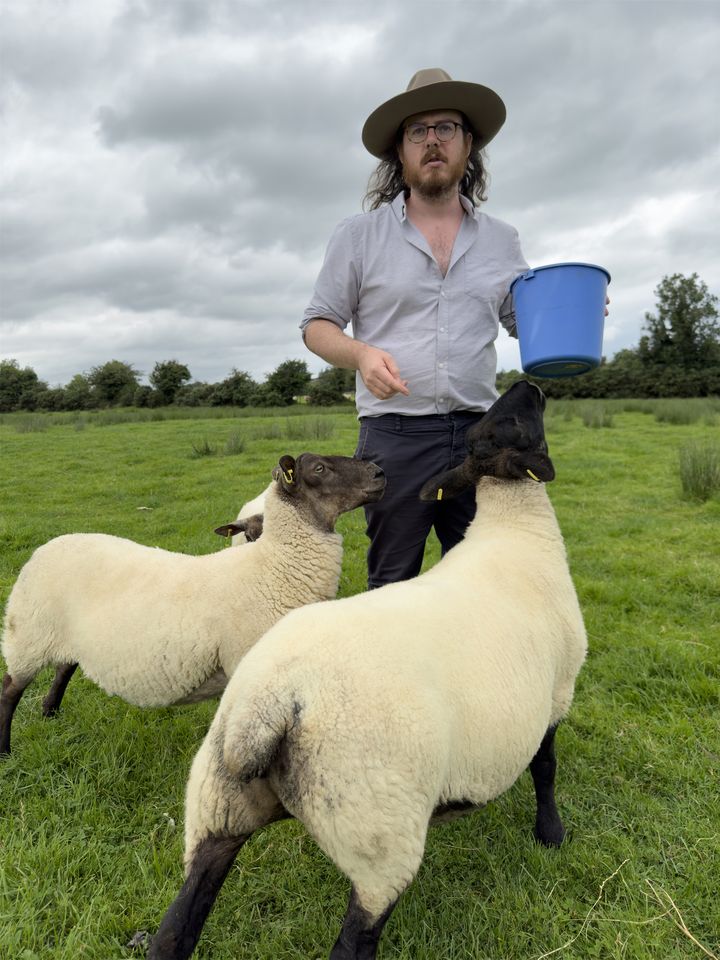 Romantic fantasy of farming is far removed from modern life in John Connell’s thought-provoking book