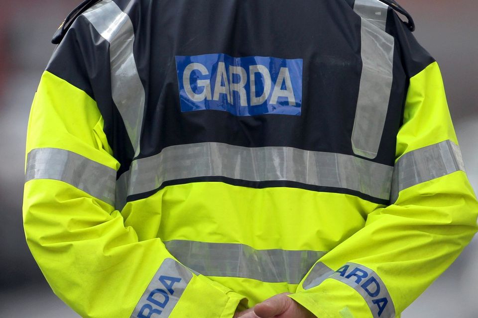 'Gardai in Dun Laoghaire are investigating at least five armed robberies linked to the suspect who used a hammer to terrorise staff in shops before escaping with relatively small amounts of cash'