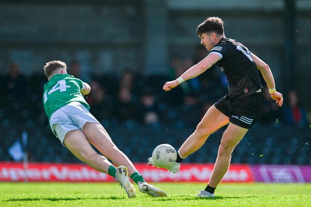 Sligo ease into Tailteann Cup semis as Yeats County make light work of Limerick