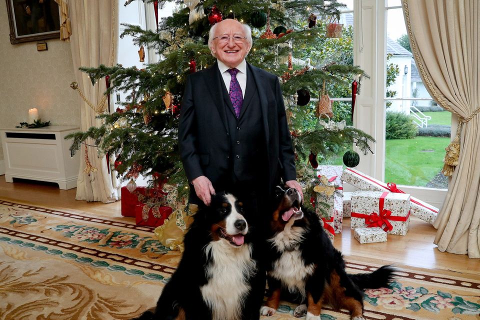 President Higgins with his dogs Bród and Síoda, who recently passed away