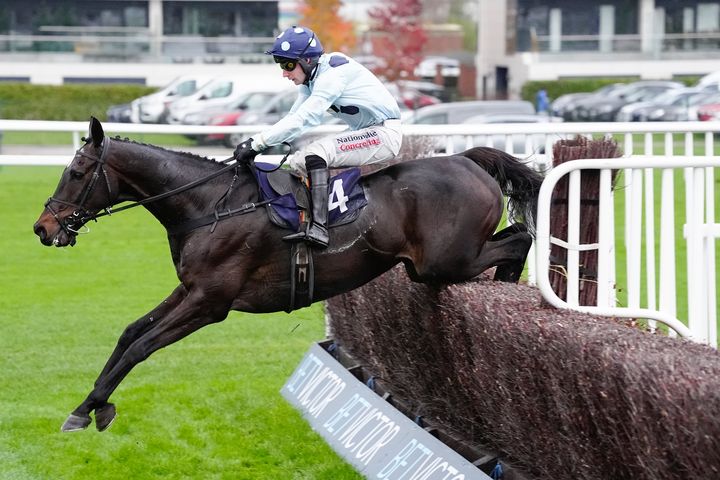 Wayne Bailey: Big-priced Lord Baddesley has great each-way appeal at Haydock