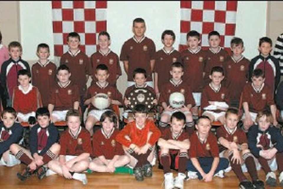 scoil-r-alta-reach-for-the-stars-with-division-three-win-irish