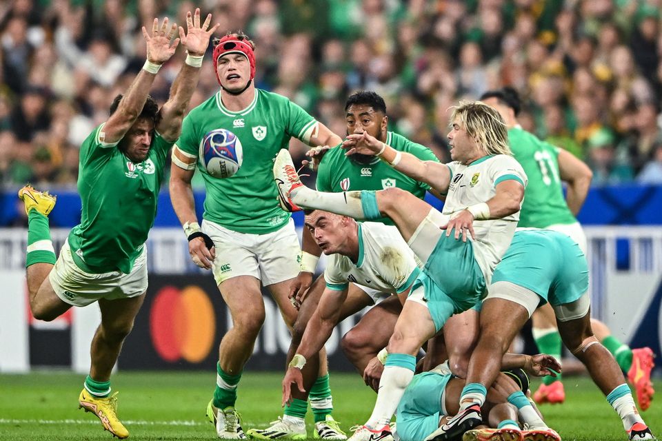 Ireland will face South Africa in two Tests this summer. Photo by Harry Murphy/Sportsfile