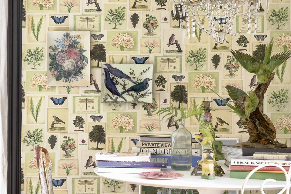 John Derian for Designers Guild from Kevin Kelly interiors