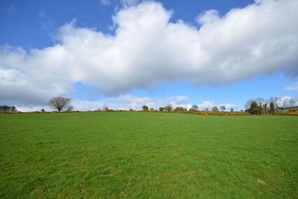A 68-acre farm in Toberpatrick, Tinahely, south Wicklow.