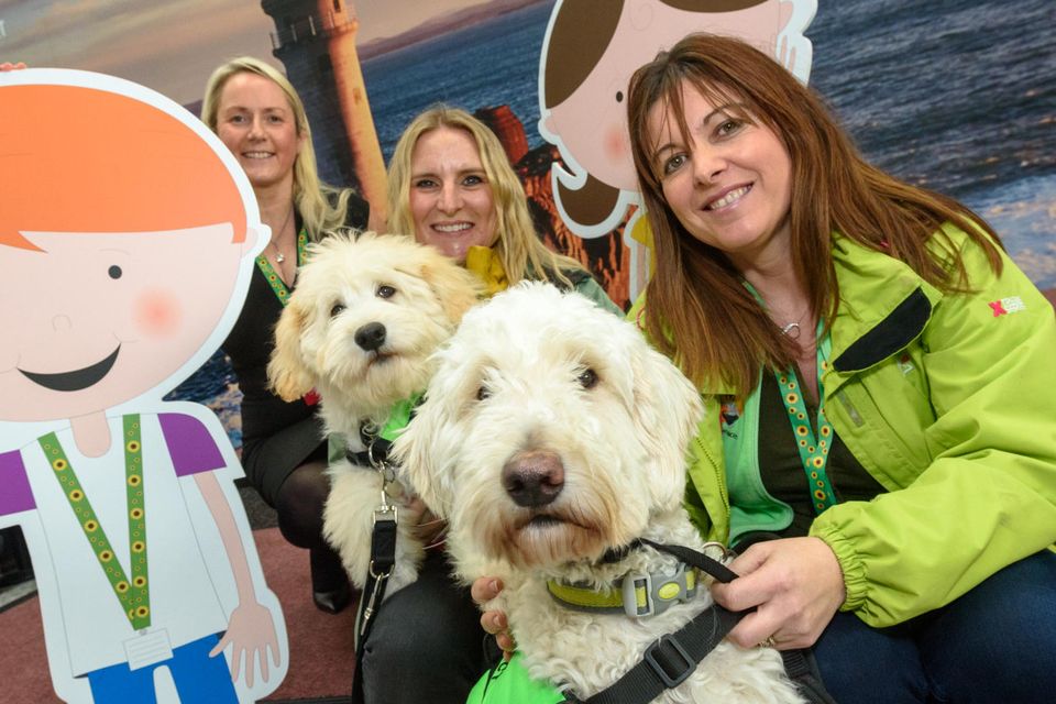 Deidre O'Donovan, Cork Airport; Karen Duke and Cliona O'Rourke from My Canine Companion with autism assist dogs Beth and Jazz as Cork Airport introduced the sunflower lanyard initiative supporting passengers with hidden disabilities. Photo: John Allen