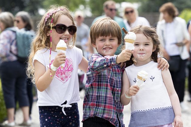 Sunshine, showers and symbolism: nobody does summer quite like the people at Bord Bia Bloom