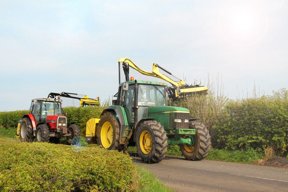 Hedge cutting