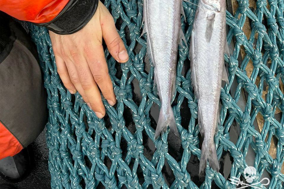 Supertrawler in 100,000 dead fish row now fishing off Mayo coast