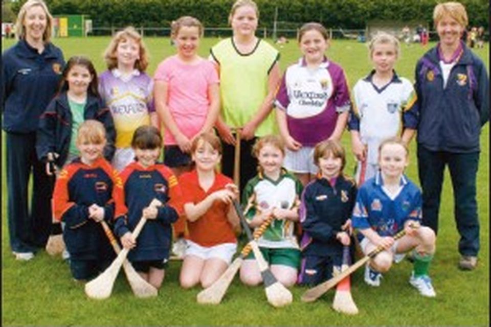 Camogie girls hone their skills at workshops | Irish Independent