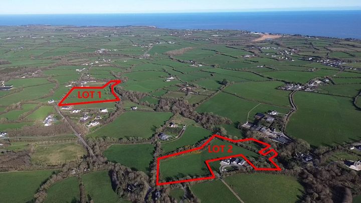 7.8ac parcel of Wexford land makes over €25,000/ac