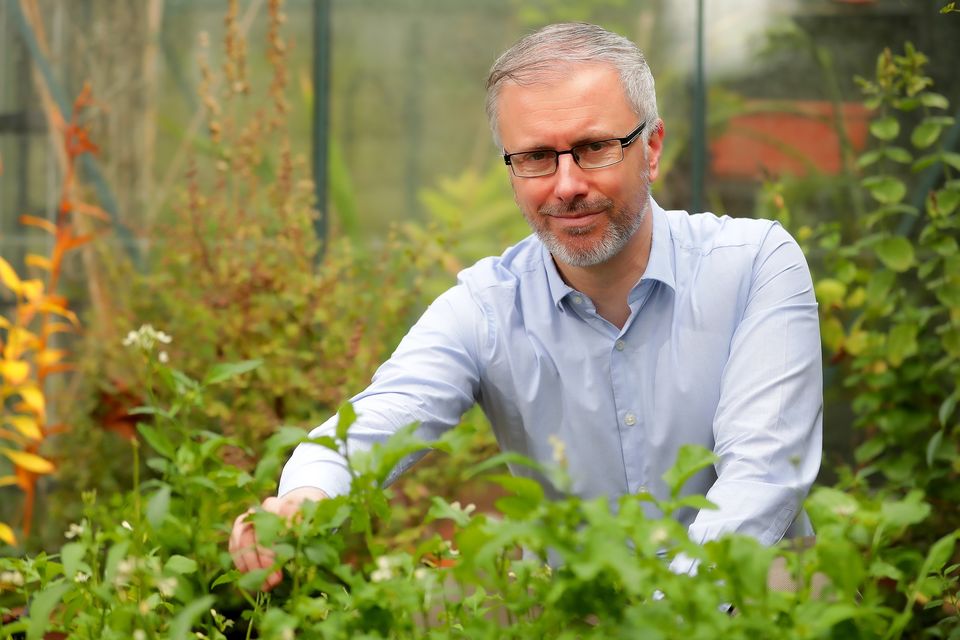 Green Party leader Roderic O’Gorman. Photo: Gerry Mooney