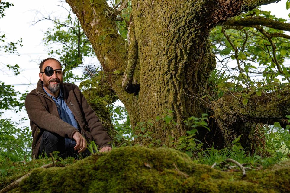 Eoghan Daltun in his temperate rainforest near Ardgroom on the Beara Peninsula in West Cork. Photo by Don MacMonagle