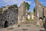 thumbnail: Fransican Abbey near Donegal town