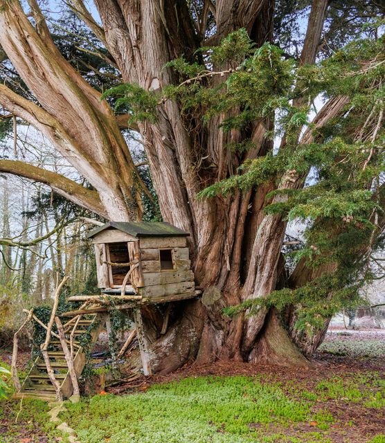 A children’s treehouse on the grounds