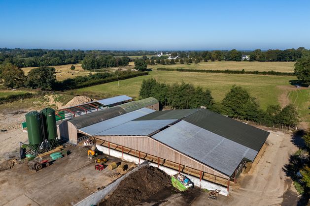 240ac dairy and forestry farm in Offaly back on market for €3m