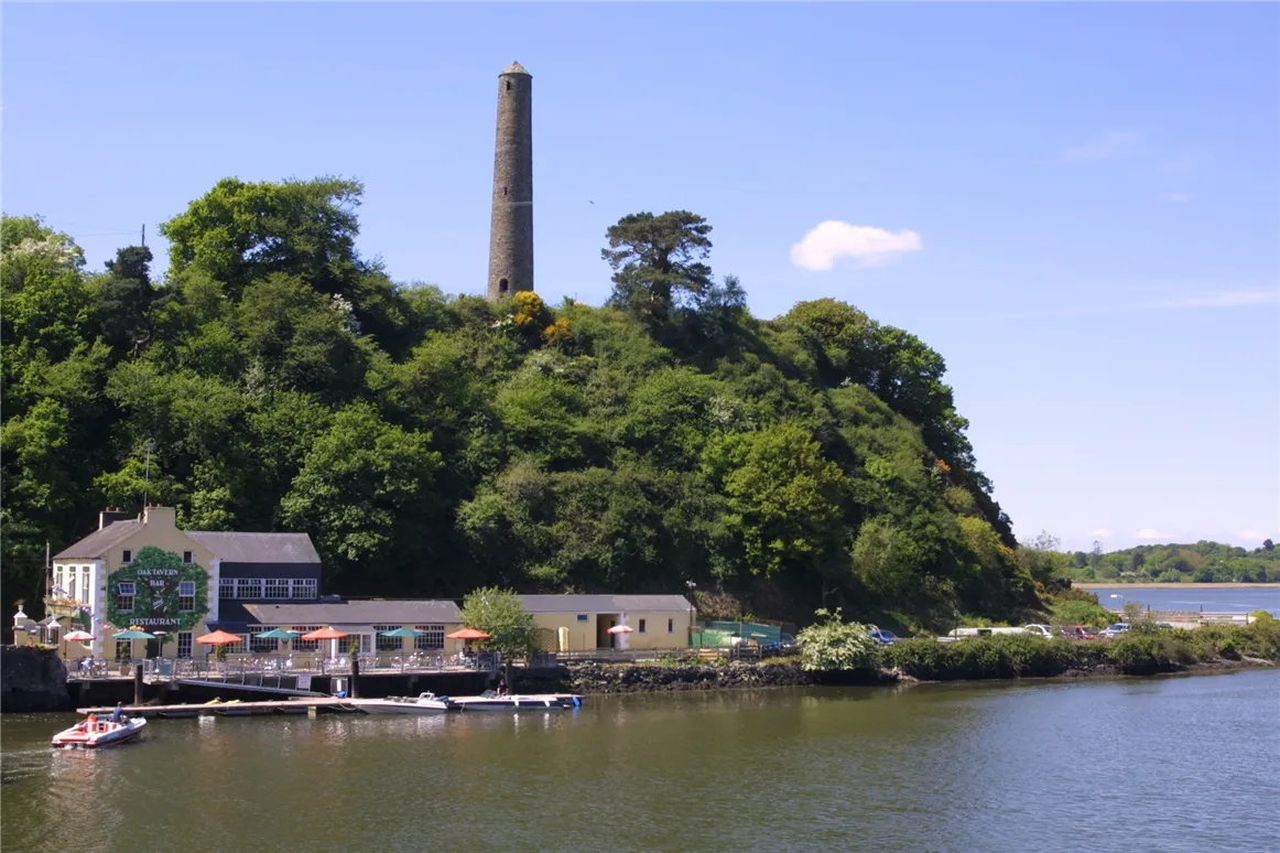 High hopes for a return of the old Oak Tavern as picturesque Wexford ...