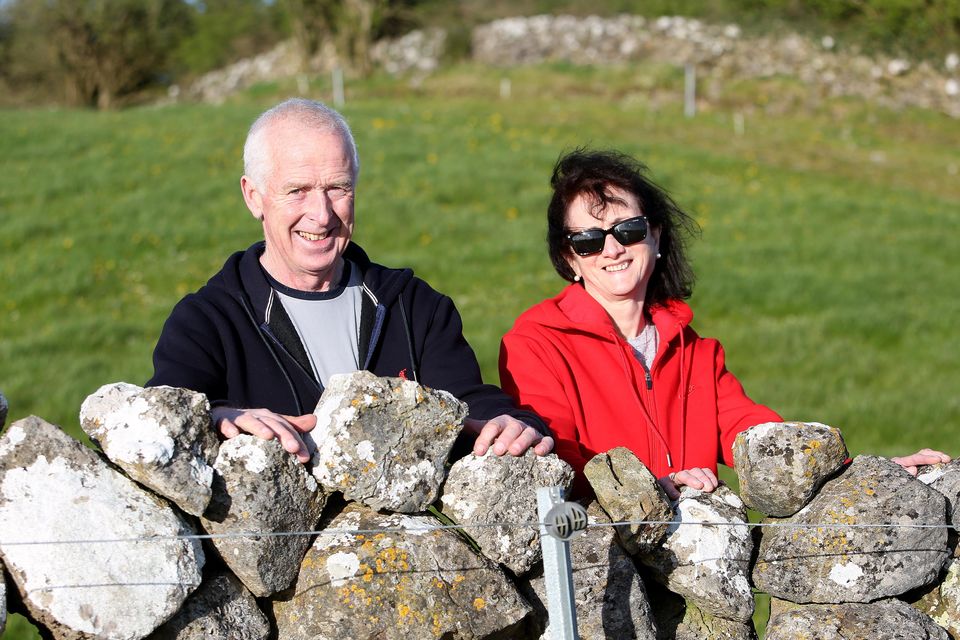 Billy and his Anne at a drystone wall