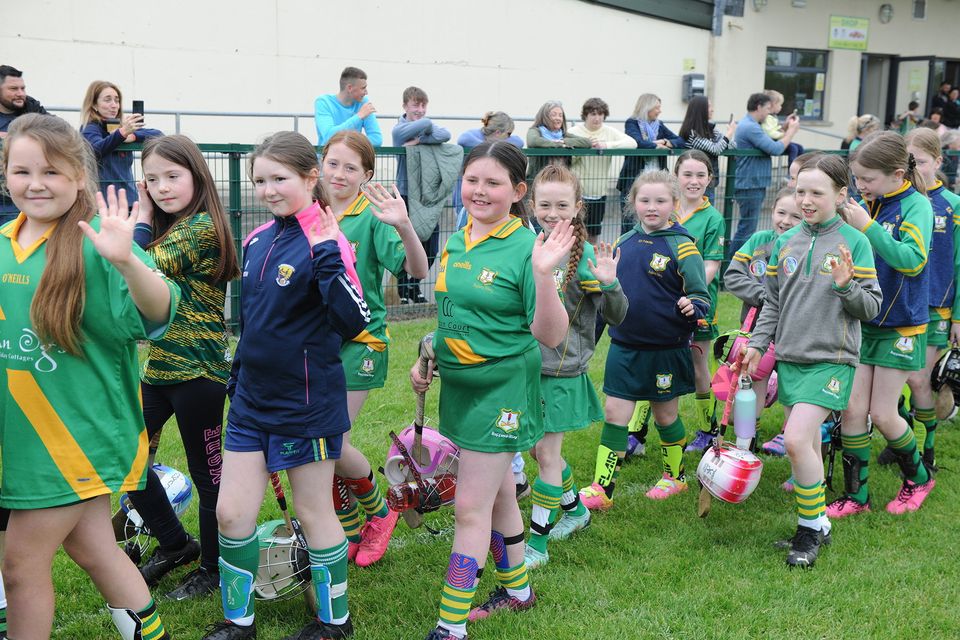 Some of the participants in the parade at the Ger Hendrick All Ireland Week in Buffers Alley GAA Grounds on Saturday. Pic: Jim Campbell