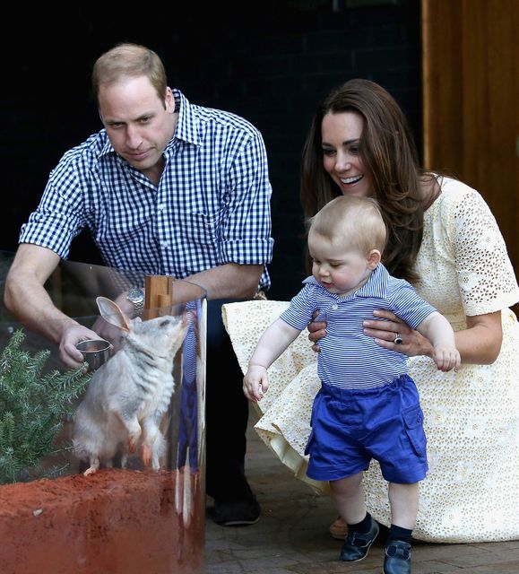 April 2014: Catherine, Duchess of Cambridge holds Prince George of Cambridge as Prince William, Duke of Cambridge look whilst meeting a Bilby called George at Taronga Zoo