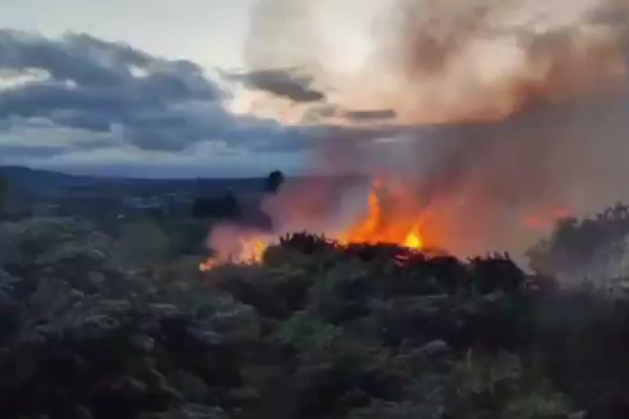 Firefighters battle large wildfire in Killiney, south Dublin